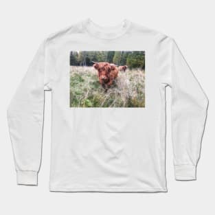 Scottish Highland Cattle Calf 2121 Long Sleeve T-Shirt